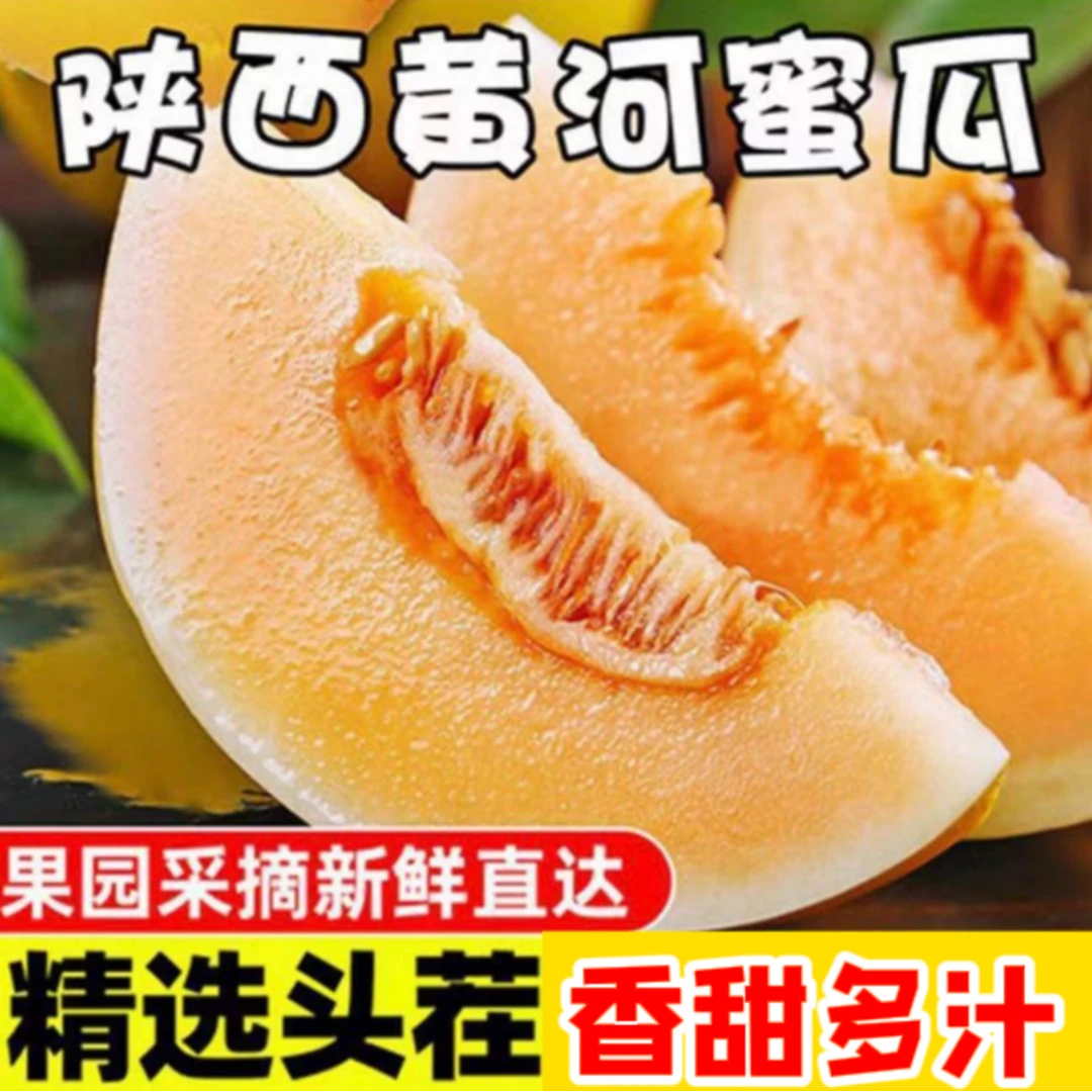 头茬陕西黄河蜜瓜金红脆 当季新鲜蜜瓜
