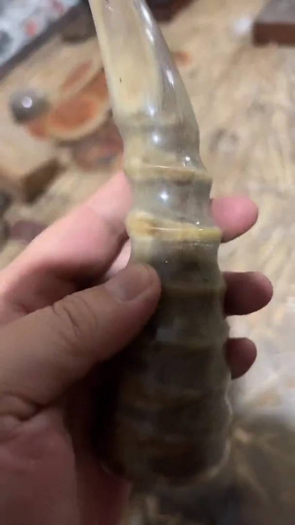 紫砂紫砂紫砂紫砂紫砂紫砂