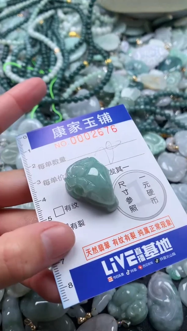 颈饰未镶嵌翡翠2676