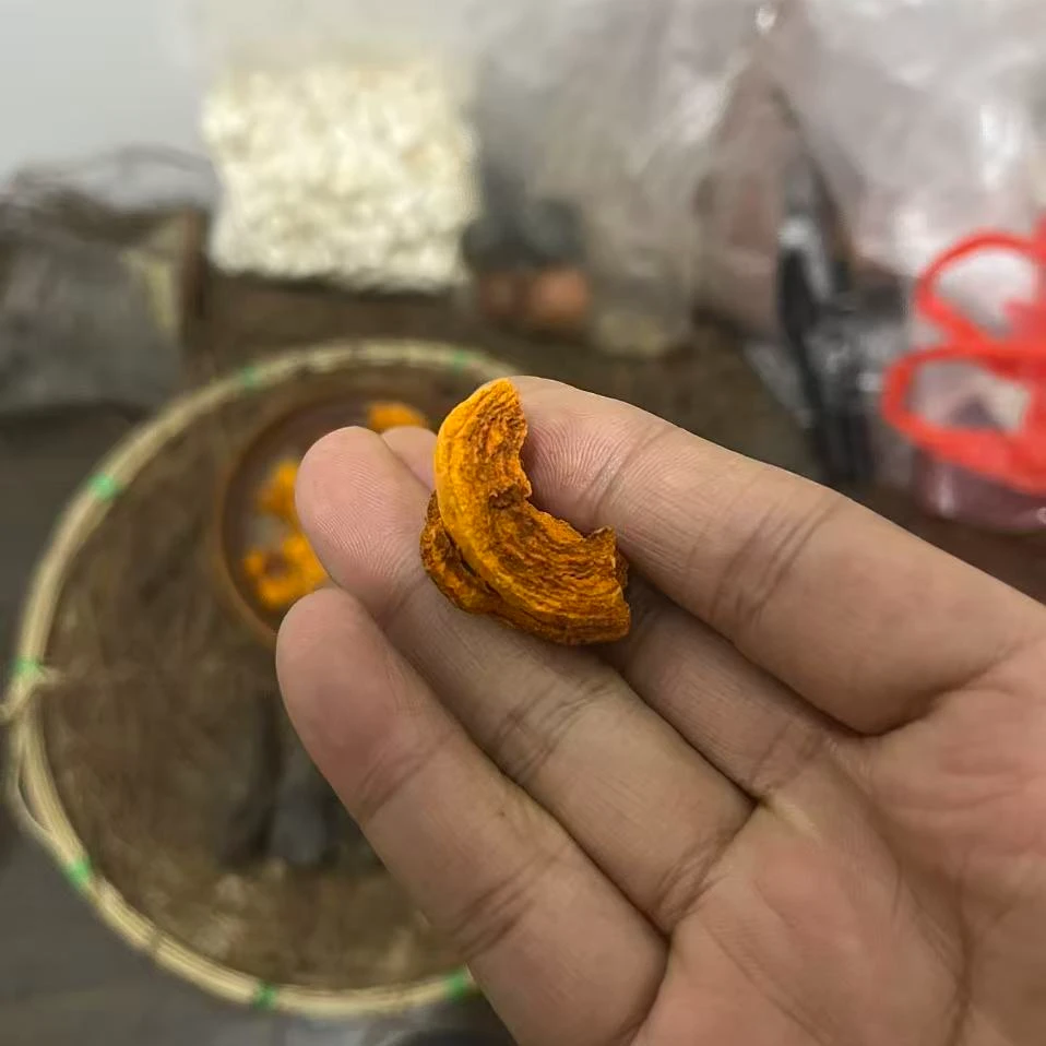 缅缅云南天然小牛宝 非茯苓