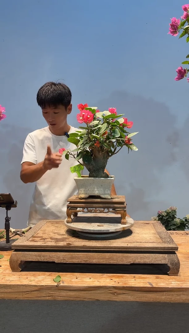无花朵很****啊中国红23