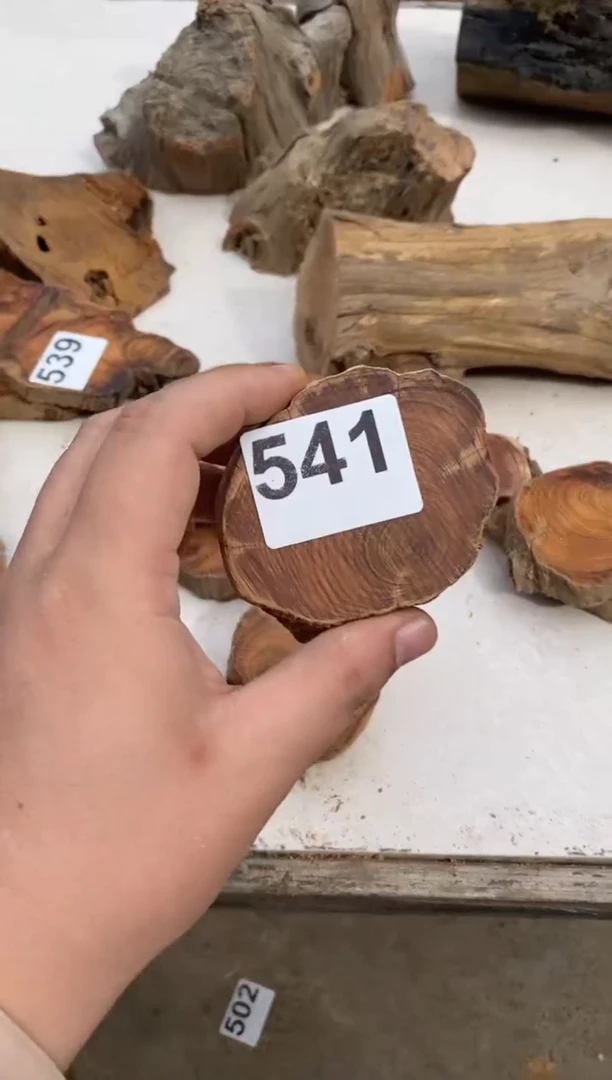 柏木（崖柏）太行陈化崖柏切片一块（津诚林）541