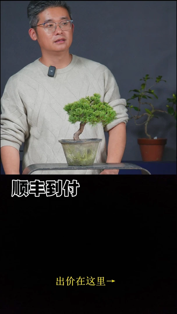 无花朵c116明星bubaoyou