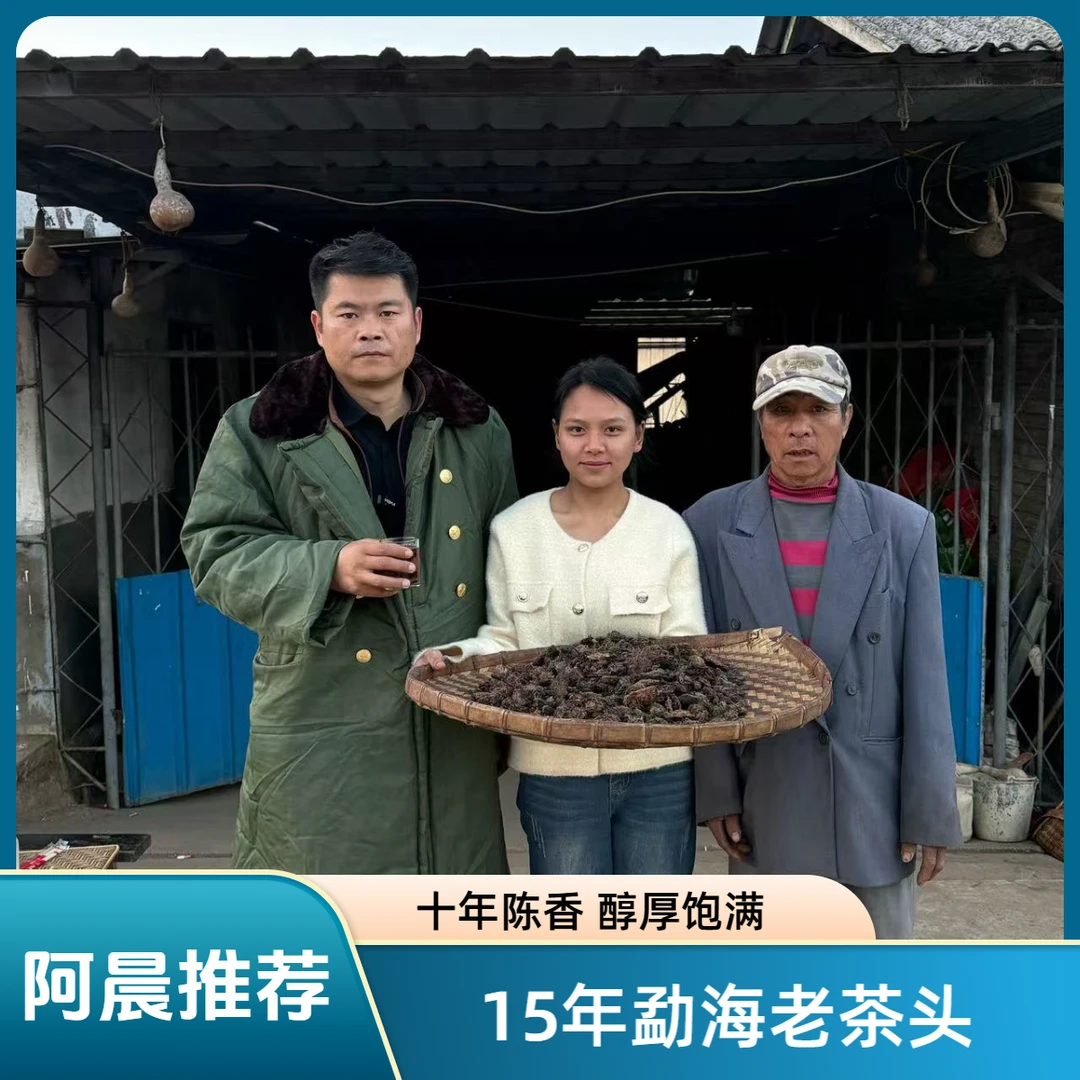 【普洱老家阿晨推荐】小荟家的老茶头 2015年勐海老茶头古树茶