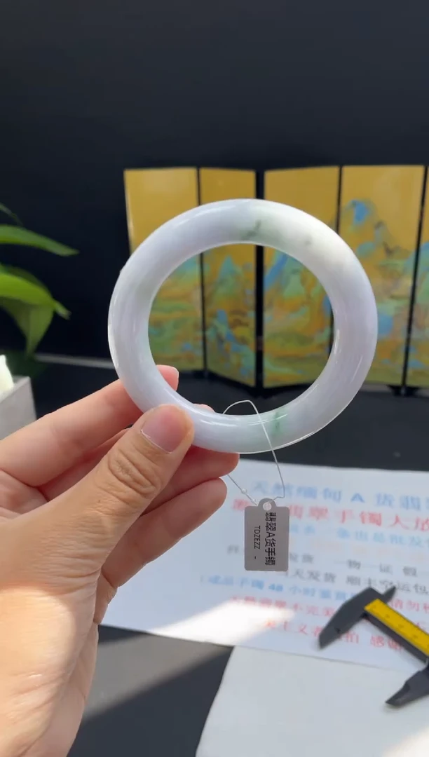 未镶嵌手镯翡翠31#天然缅甸A货翡翠手镯54-55圈口