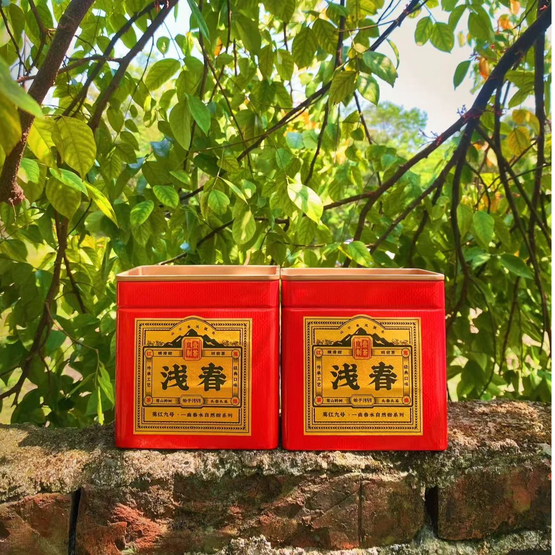 【头春头采】浅春明前春茶顺丰包邮英德红茶英红九号源头茶叶好茶