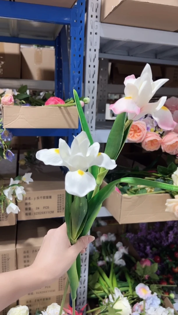 1枝粉色1枝白色鸢尾花花