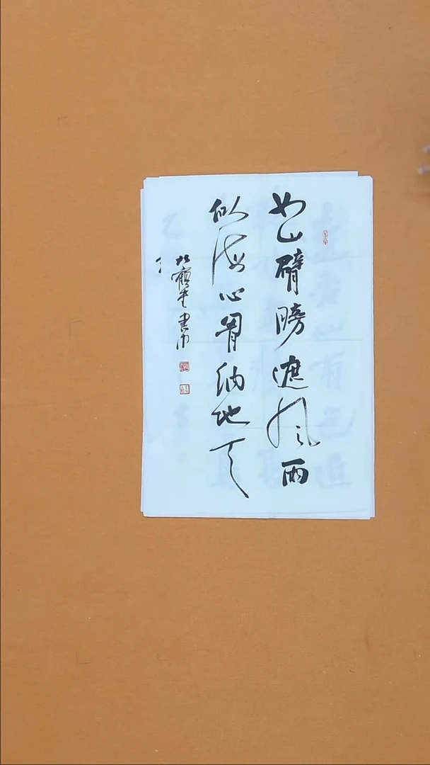 书法赵书中  黑龙江理S  40*68