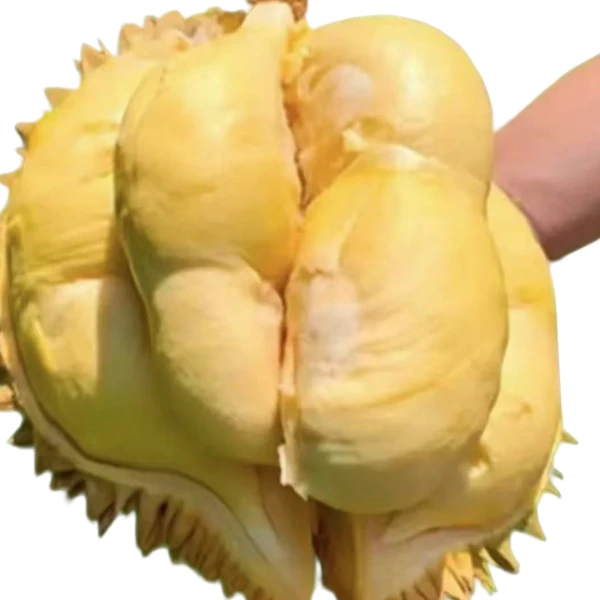 【福利单】软糯肉公斤泰国金枕AA级核小肉多果【现开】泰国新鲜榴莲金枕泰国金枕泰国