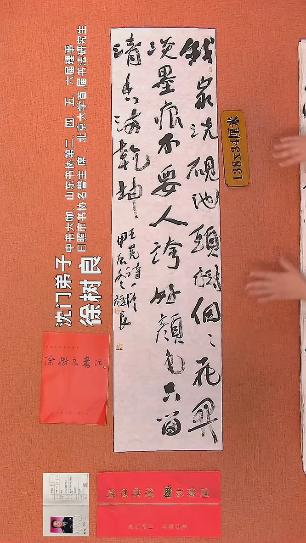 【闪购商品】书法100    徐树良书法作品