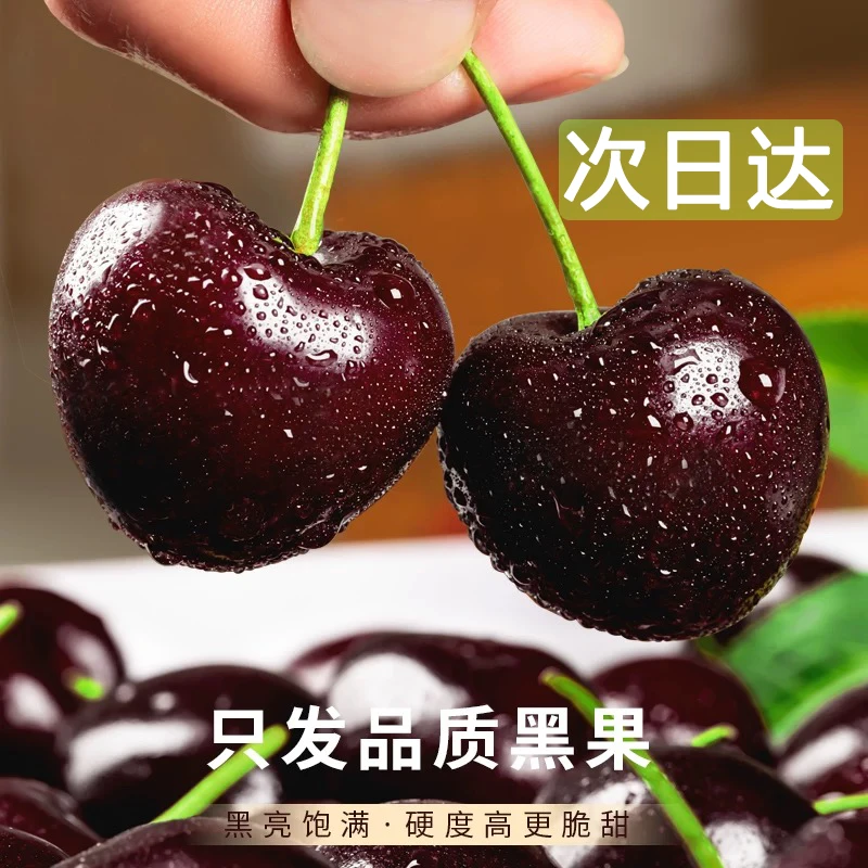 【智利进口车厘子】2JD至3JD桑提娜1~10斤又大又甜空运新鲜多汁多甜坏果包赔贵州地区次日达