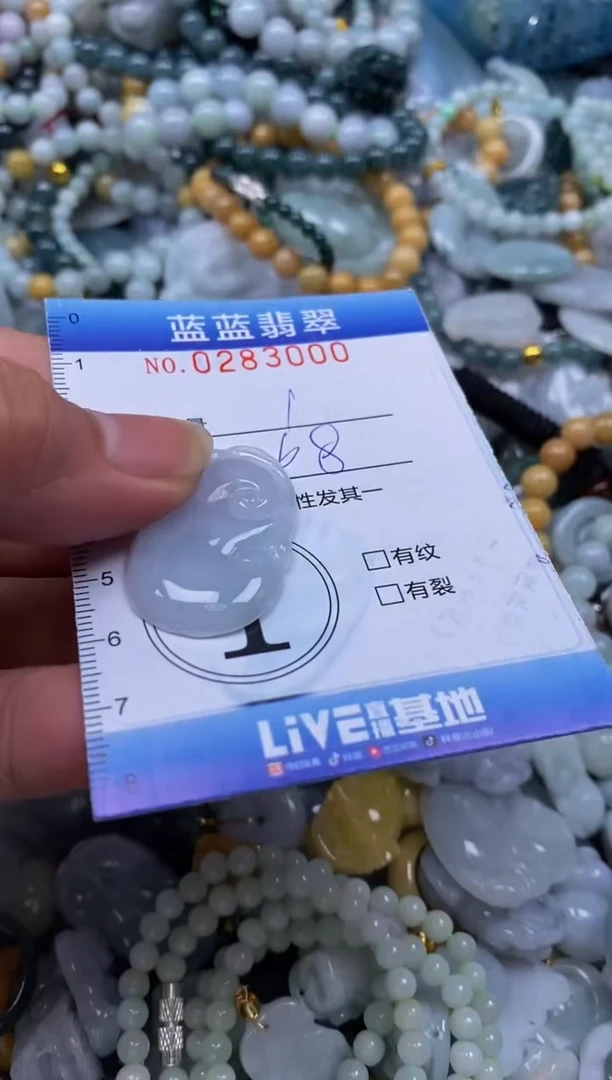 翡翠未镶嵌颈饰闪购0283000