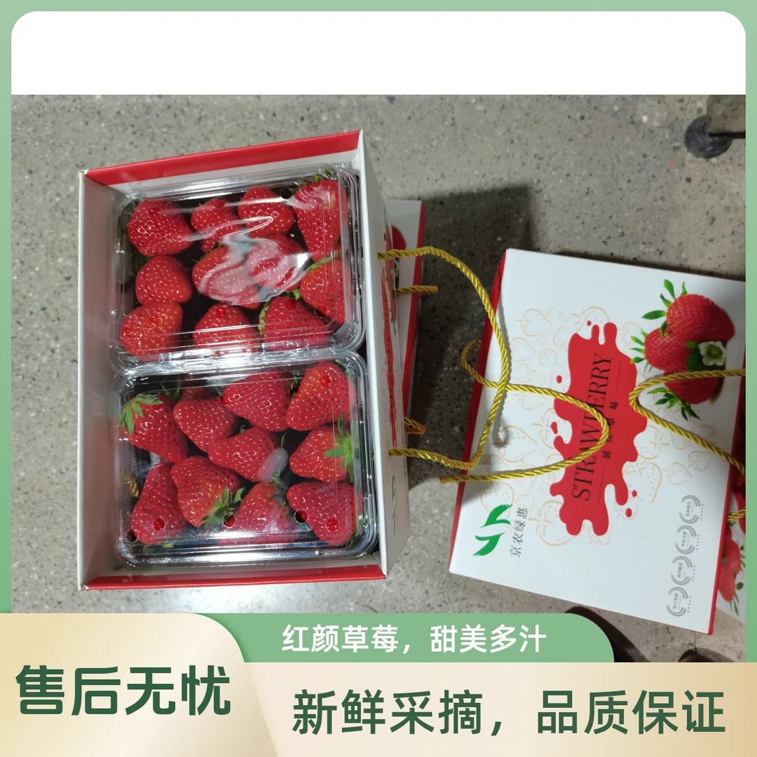 【亲友实惠装】延庆绿惠草莓，颗颗精选，甜蜜来袭！
