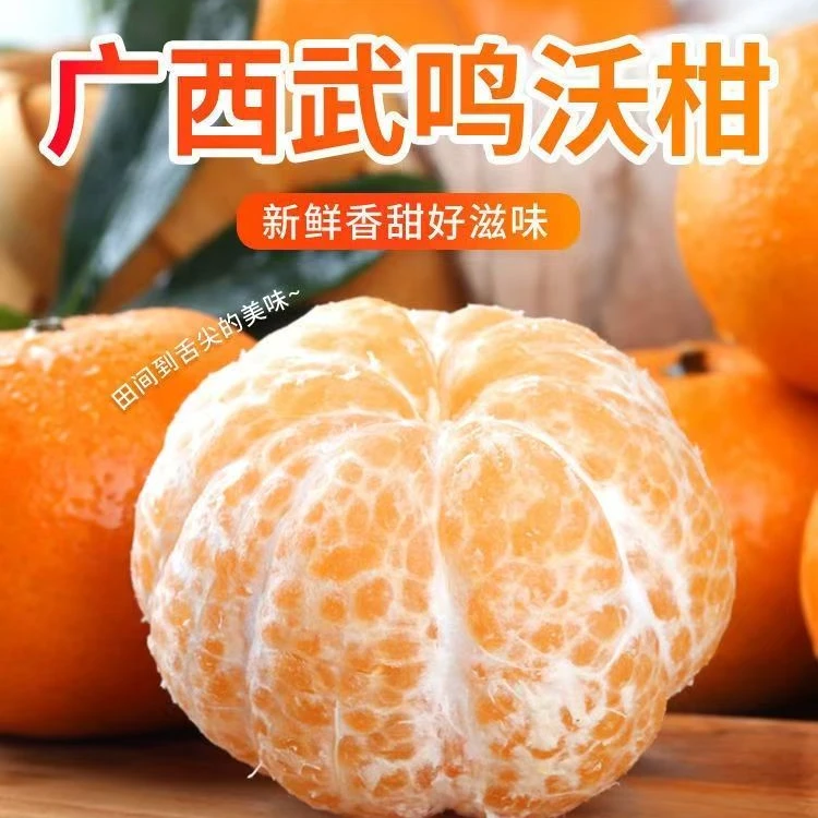 【皮薄汁多】正宗广西武鸣沃柑应季新鲜水果轻微花皮坏果包赔