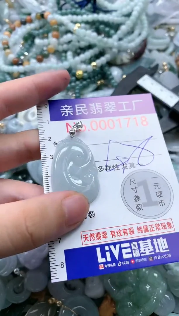 翡翠未镶嵌吊坠(不含链)1718