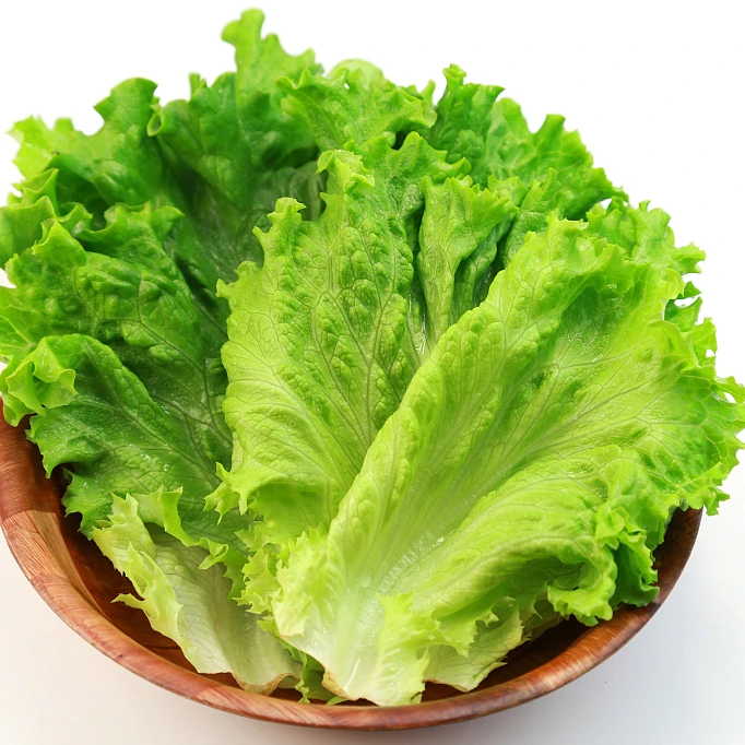 【】新鲜脆嫩生菜250g左右