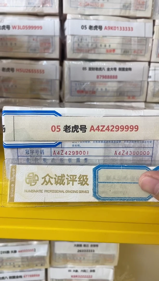 M 05 老虎号 A4Z4299999