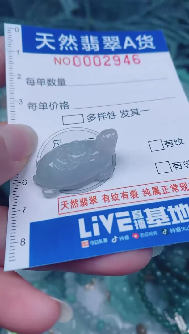 颈饰未镶嵌翡翠00002946