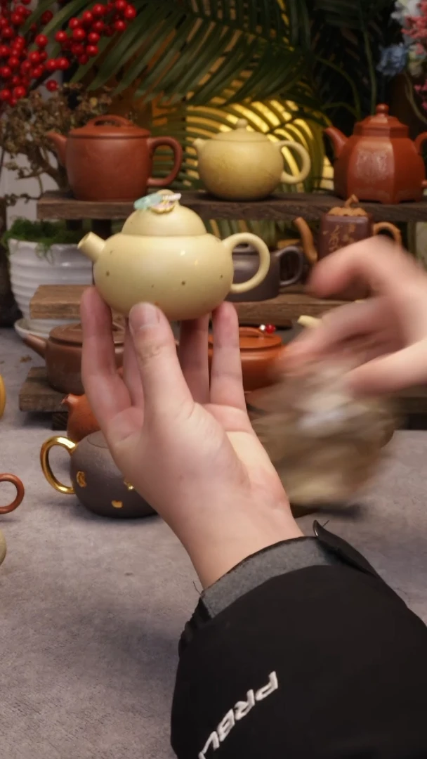 【闪购商品】紫砂壶本绿点金元宝110CC