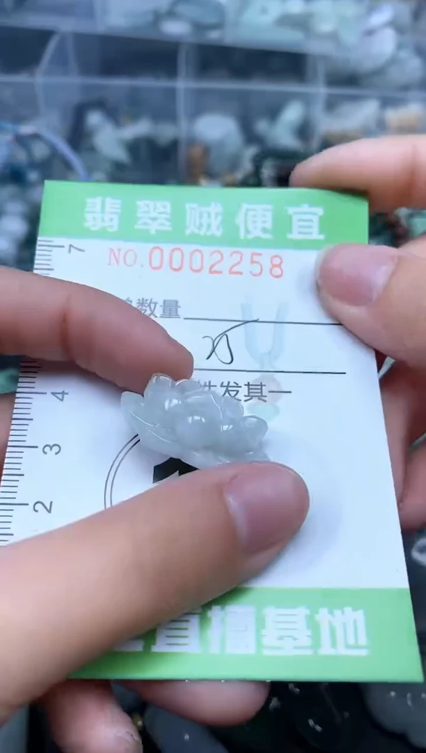 翡翠未镶嵌颈饰Z闪购0002258