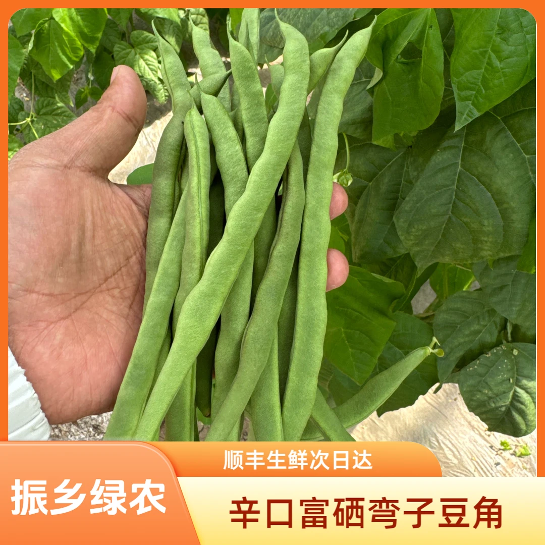 【振乡绿农】辛口富硒弯子豆角，顺丰生鲜包邮，2/3/5斤装新鲜