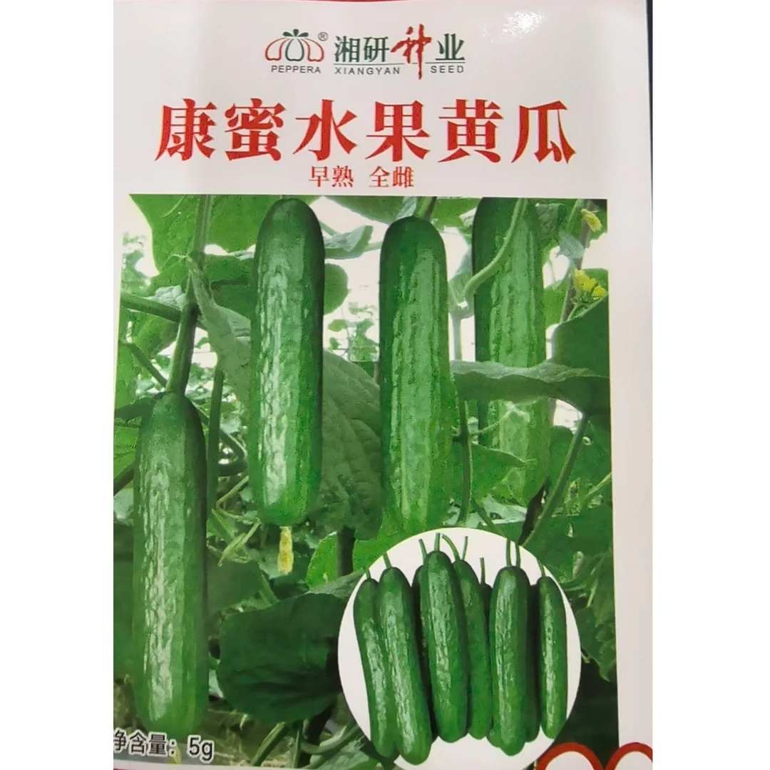 5克康蜜水果黄瓜种子长势旺盛商品性好