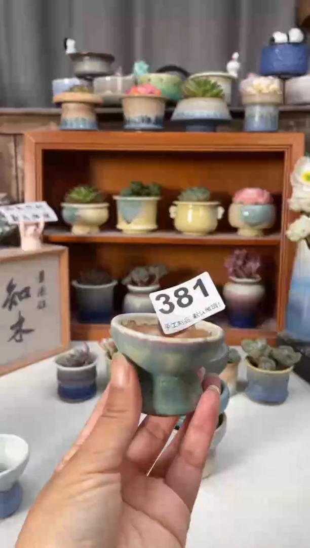 瓷片酥***瓜381知木小芳花盆