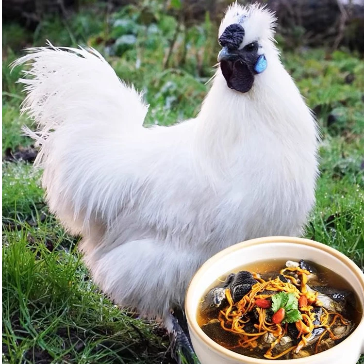 【两只5斤】大乌鸡土鸡新鲜现杀农家乌鸡冷冻优质乌骨鸡月子鸡