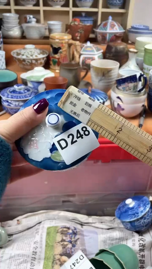 【闪购商品】D248
