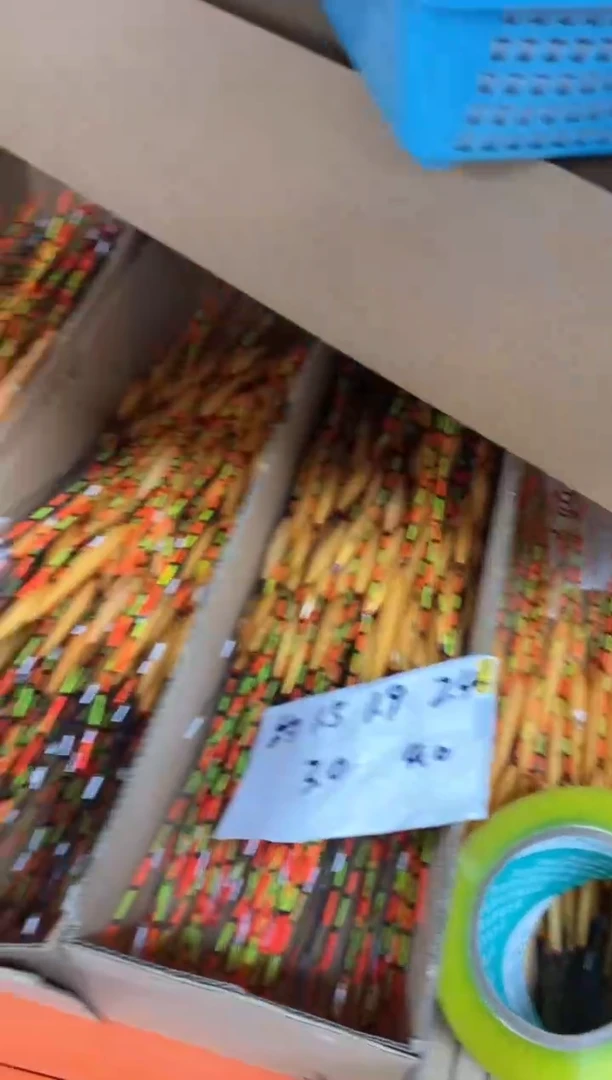 小凤仙5根
