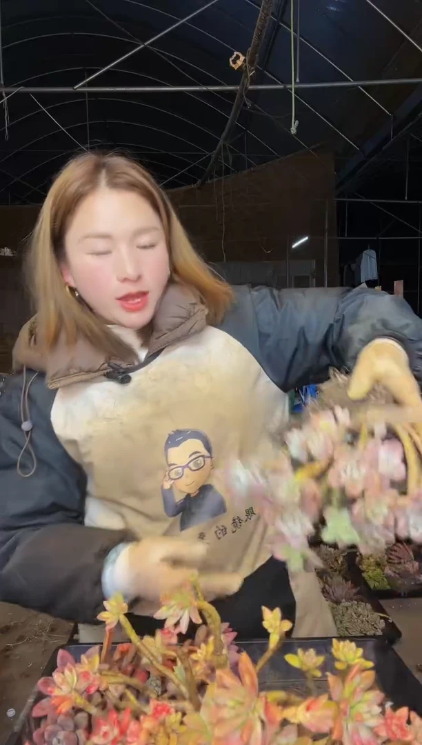 【闪购商品】30号一物一拍默认微瑕不售后