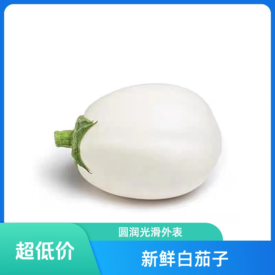 【自采】农家白茄子约500g/1000g
