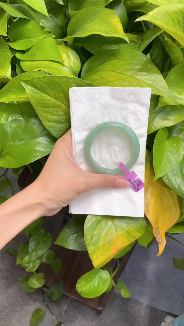 未镶嵌手镯翡翠000074656