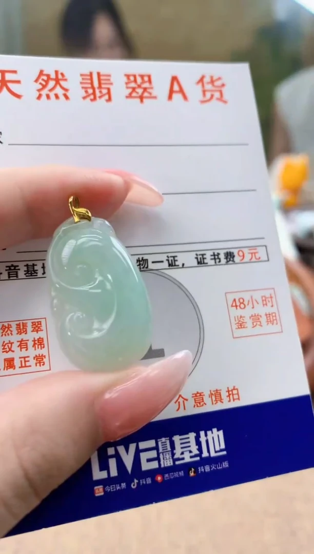 颈饰未镶嵌翡翠天然A货翡翠挂件