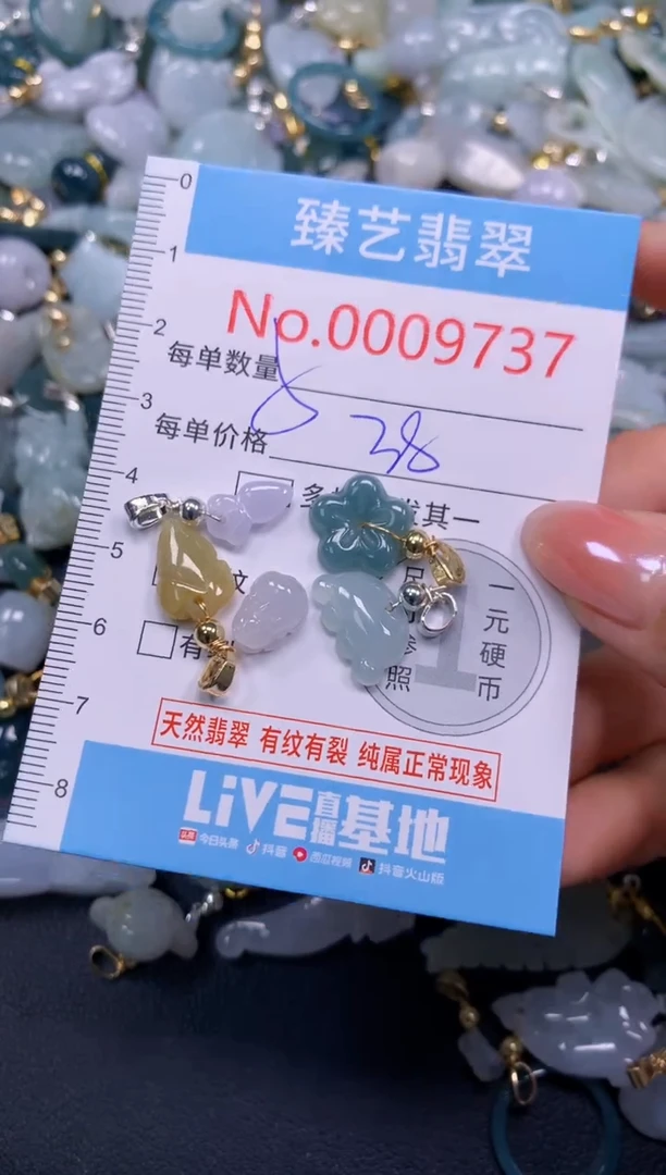 颈饰未镶嵌翡翠9737