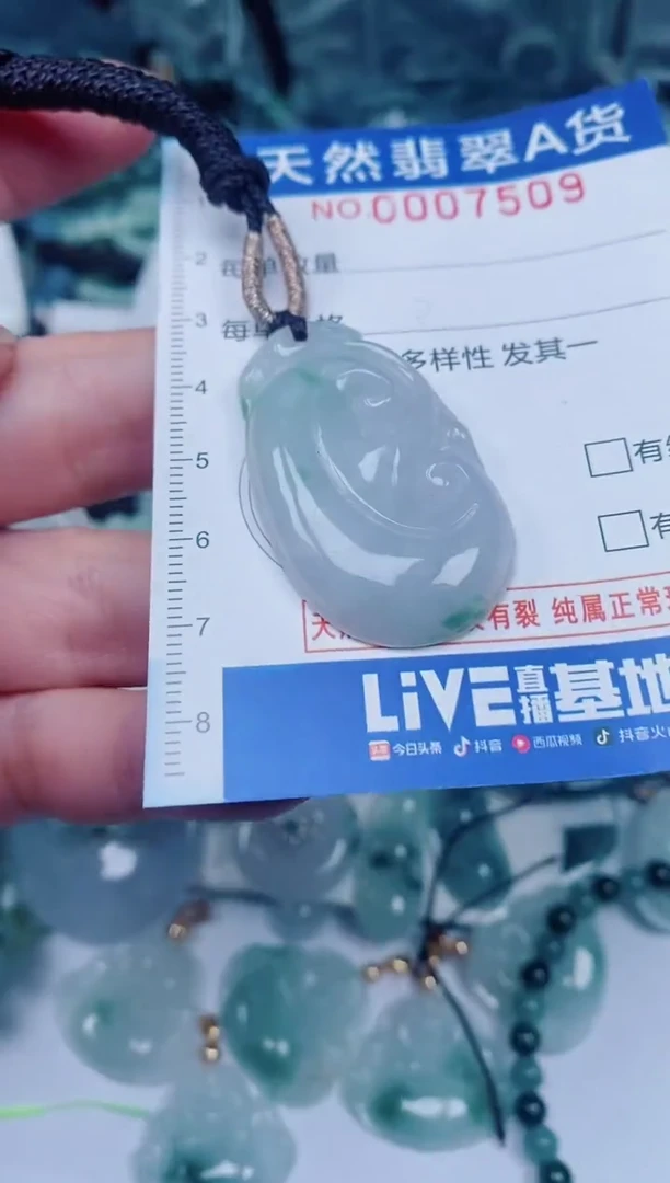 颈饰未镶嵌翡翠00007509
