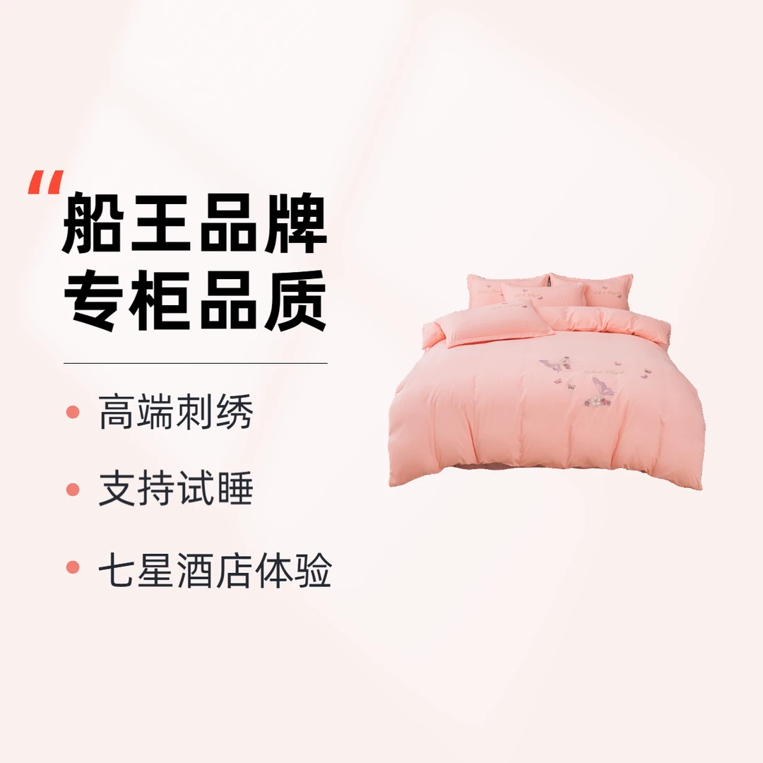 船王家纺/磨毛绣花四件套轻奢款刺绣床上纯色四件套