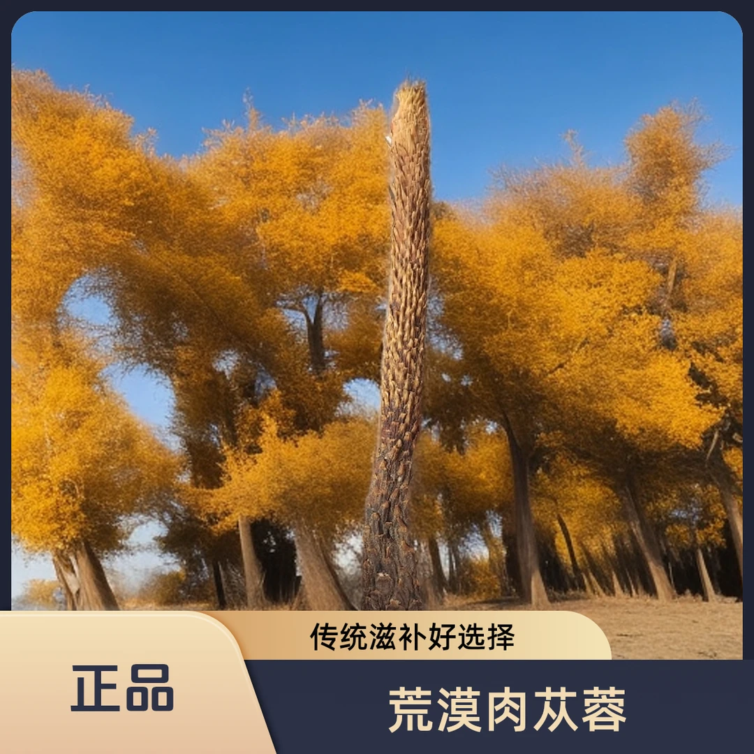 【正品肉枞蓉】来自塔克拉玛干沙漠的荒漠肉枞蓉200-240克