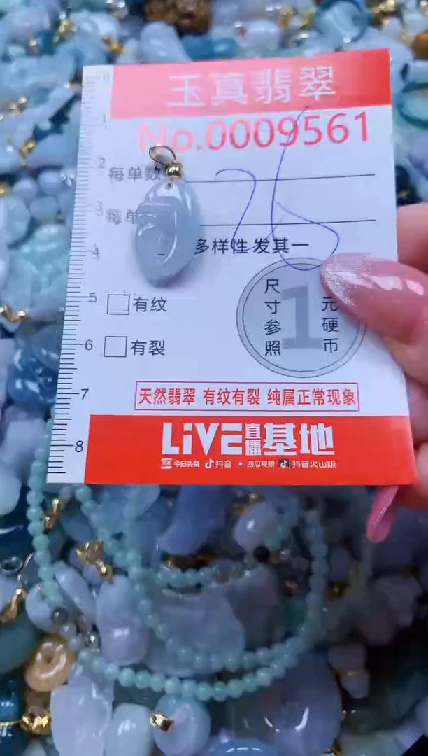 翡翠未镶嵌吊坠(不含链)9561