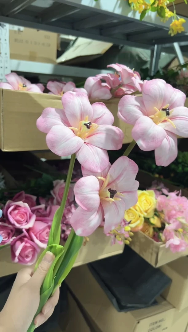 3枝粉色布朗尼郁金香