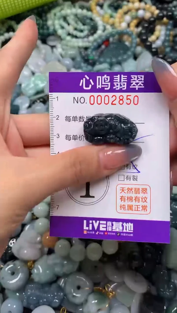 颈饰未镶嵌翡翠闪购002850