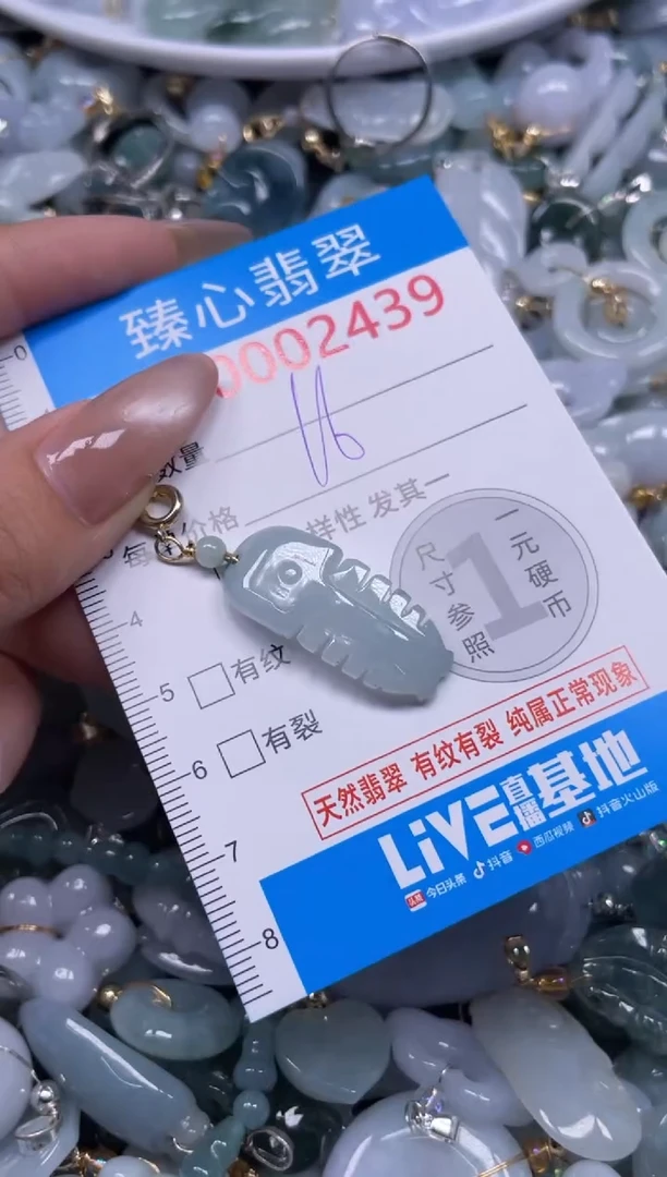 颈饰未镶嵌翡翠2439