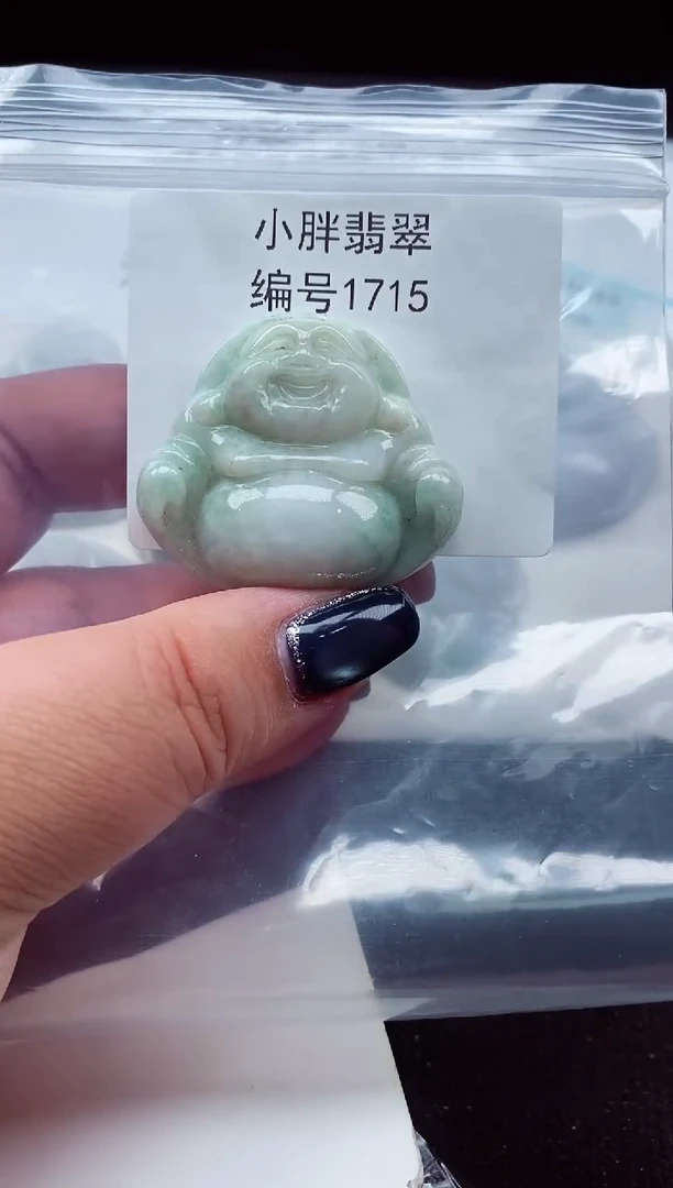 颈饰未镶嵌翡翠缅甸天然A货翡翠1715