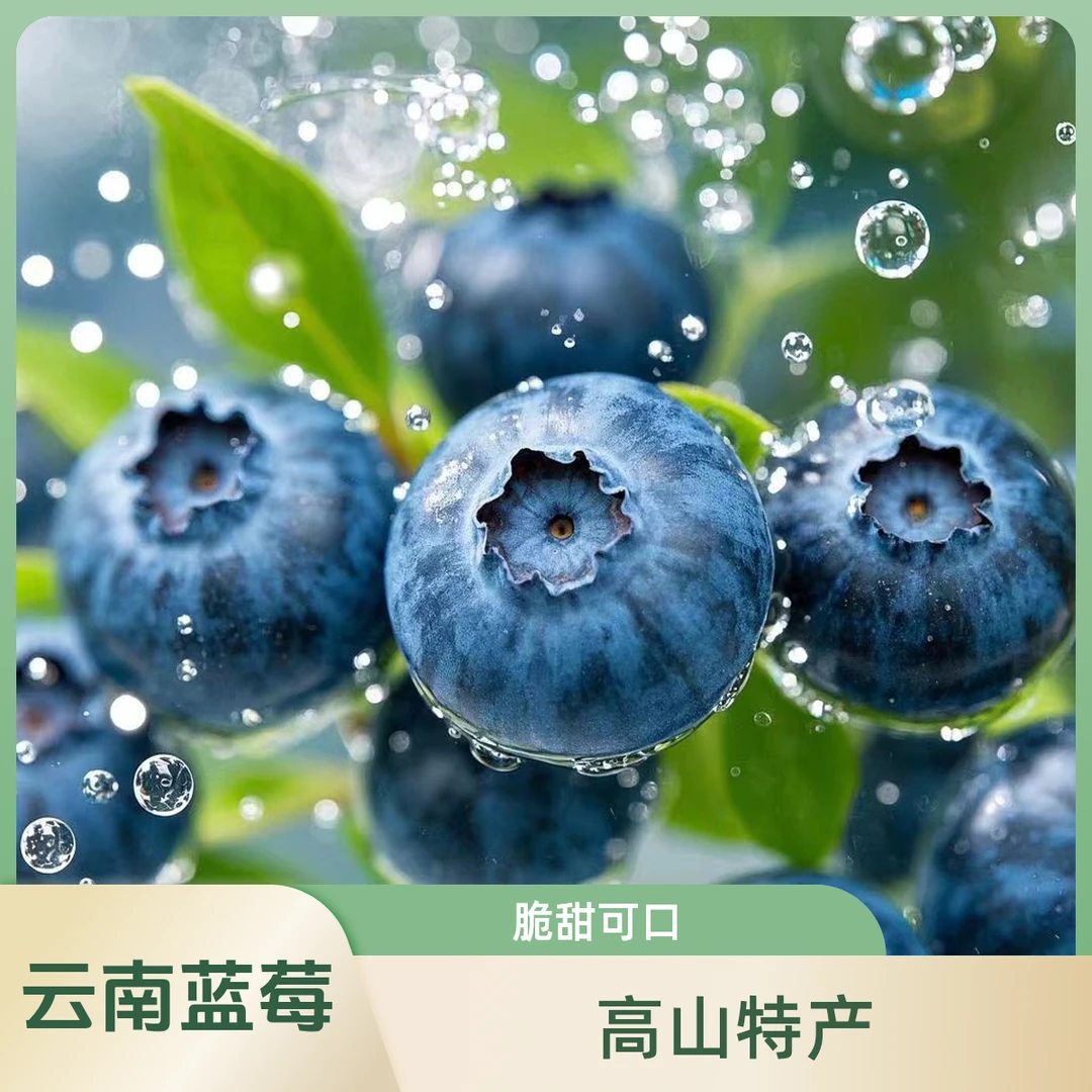 【巨无霸】云南高山花香蓝莓脆甜可口孕妈妈辅食125g/盒