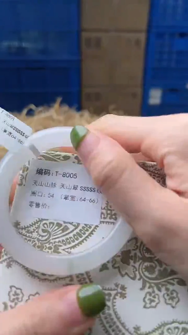 未镶嵌手镯石英质玉T8005