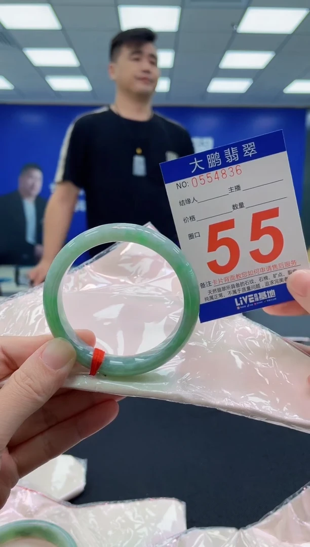 未镶嵌手镯翡翠AAAAAAAAAA