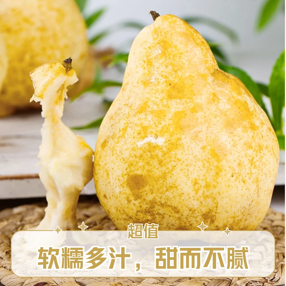 山东烟台头茬佛手丑梨软糯香甜核小肉多口感香甜