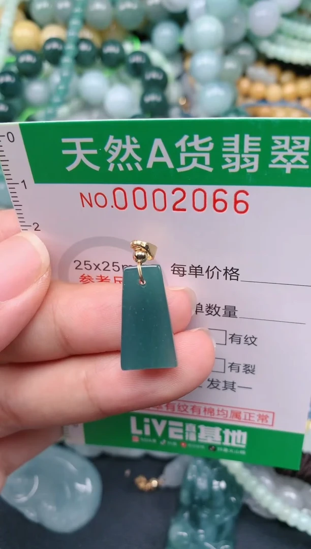 翡翠未镶嵌颈饰.0002066