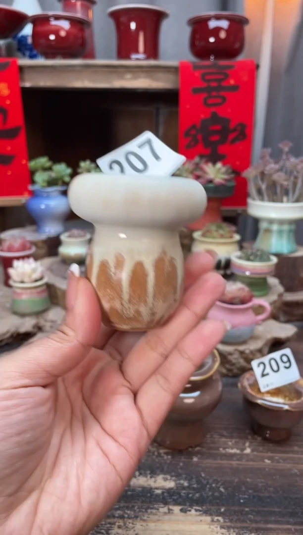 【闪购商品】摆件福利207知木小芳花盆编号