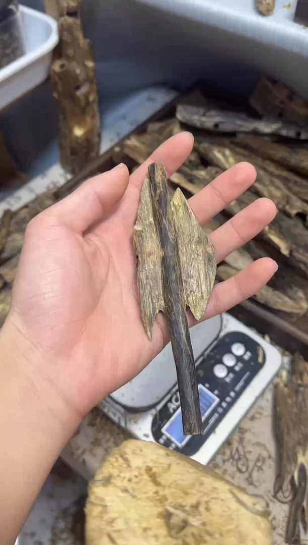 沉香沉香碎屑海南白棋